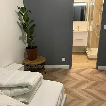 Apartman Grand Proche St Pierre/chateau *